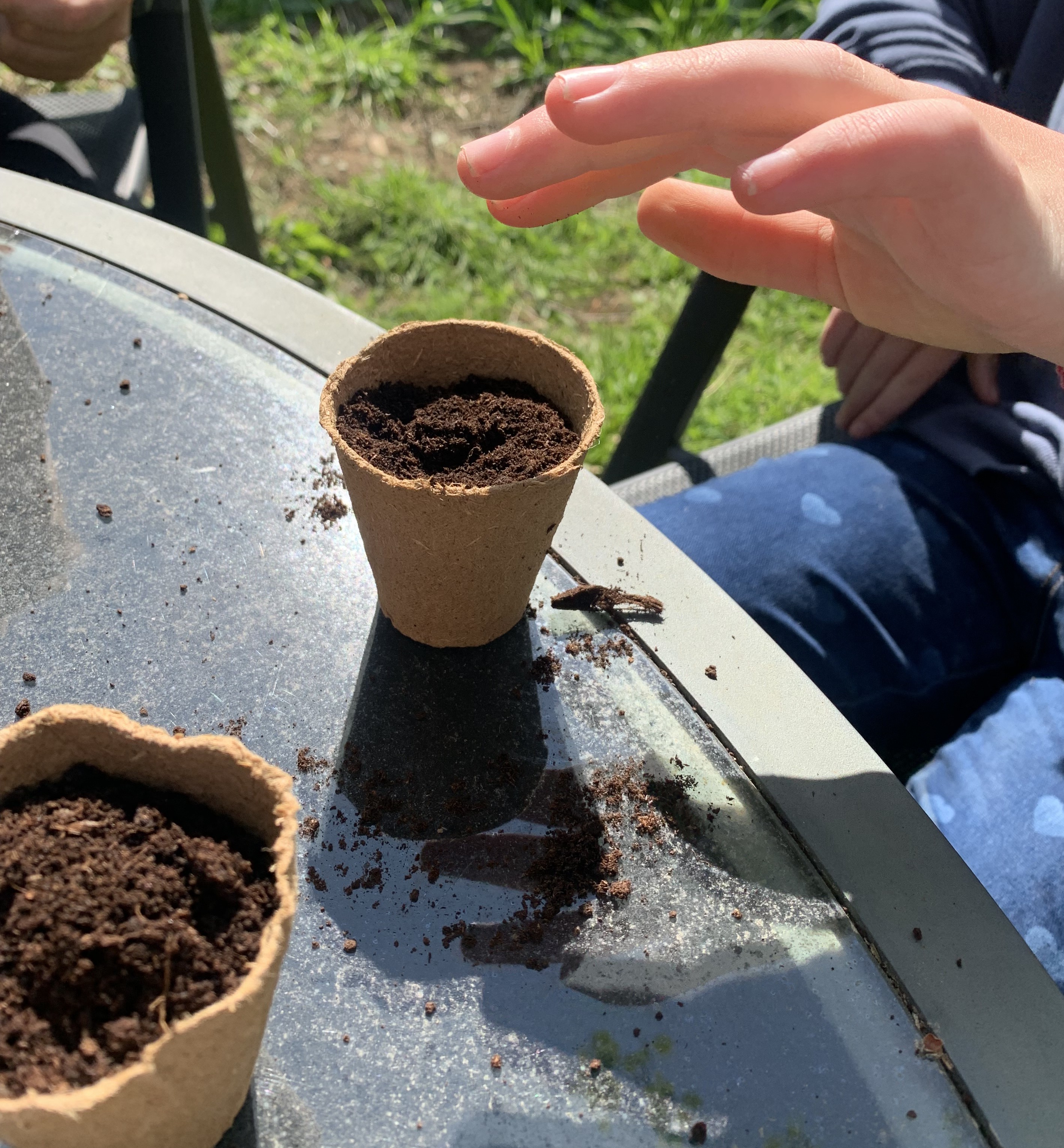 Planting activity